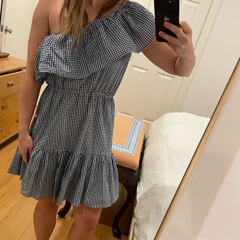 Mink pink gingham one shoulder ruffle dress XS
